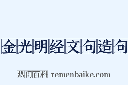 金光明经文句造句是什么意思的图片